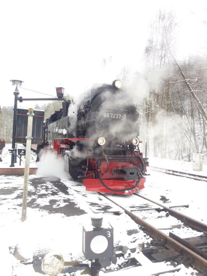 "Ferienhaeuser" Am Waldesrand Mit Und Ohne Garten Knusperhaeuschen, Teufelsloch, Walpurgishuette, Brockenhuette Wernigerode Eksteriør bilde